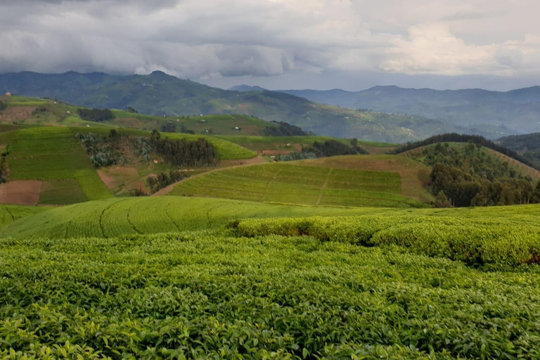 Rwanda: 8-Day Guided Cycling Tour of the Congo Nile Trail
