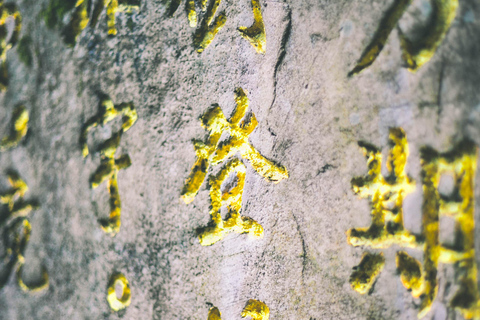 Zhangjiajie Day Tour: Avatar Mountains & Xiangxi Show