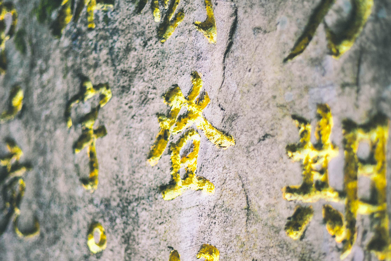 Zhangjiajie Day Tour: Avatar Mountains & Xiangxi Show