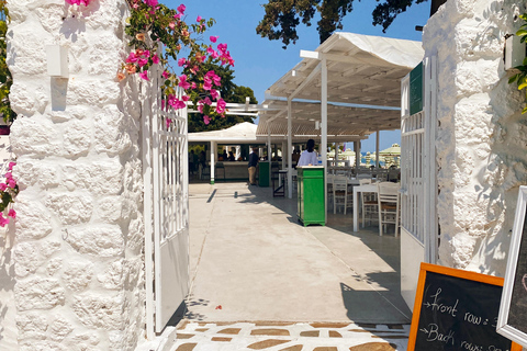 Isla de Spetses: excursión de día completo en autobús desde Atenas con bañoIsla de Spetses: excursión de un día en autobús desde Atenas con baño