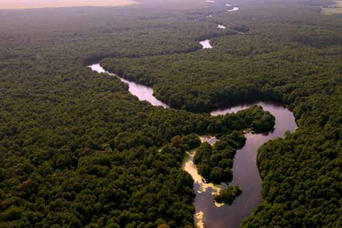 From Batumi: Georgian Amazon & Kolkheti Park Tour