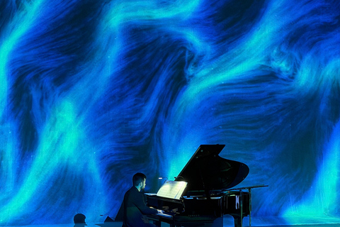 ✨Immersive Light and Music Show in Alicante I Under The Tree
