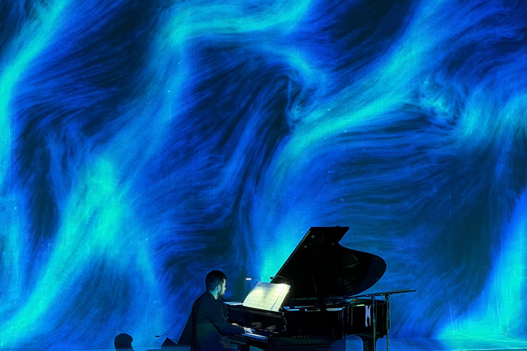 ✨Immersive Light and Music Show in Alicante I Under The Tree