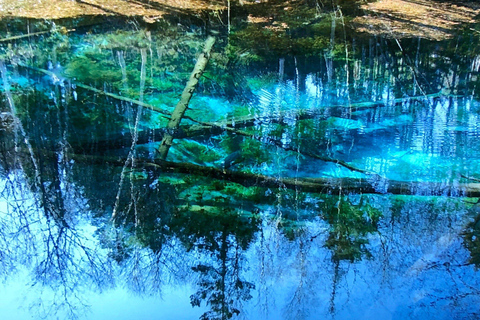 Shiretoko & Kiyosato: Five Lakes Full-Day Nature Tour