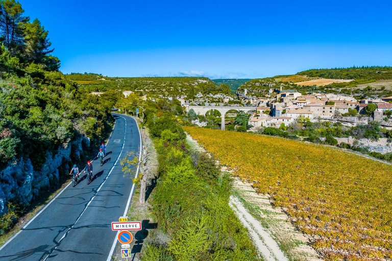 VTT Electrique 3h : Balade en nature pour tout niveau Tarif Réduit Groupe (à partir de 8 personnes)