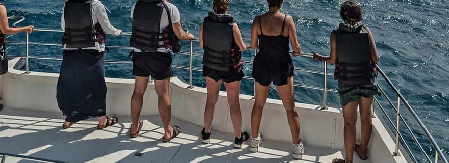 Exclusif : excursion privée d'observation de baleines au coucher du soleil avec transferts