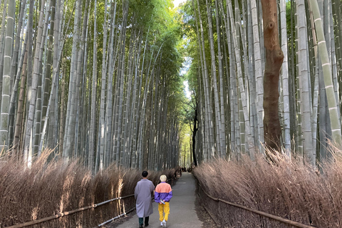 Kyoto: Die Highlights von Arashiyama in 2 Stunden - Führung