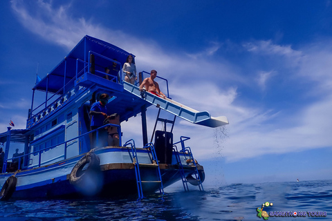 Koh Tao: Excursão de um dia com mergulho com snorkel nas ilhas e almoçoKoh Tao: Ilhas Snorkeling Destaques Day Tour &amp; Almoço