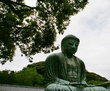 Privat omvisning i Kamakura og Yokohama - engelsktalende sjåfør