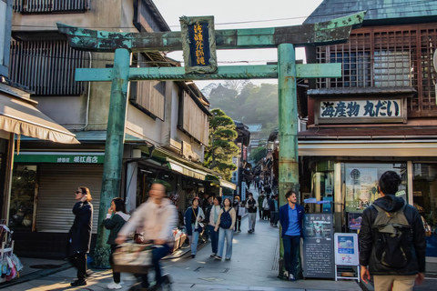 Tokyo, Mt. Fuji, Kyoto, Osaka: 7-Day Private Tour of Japan