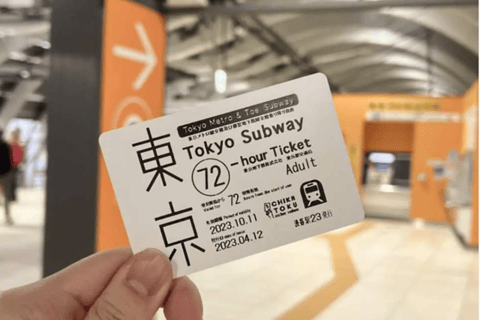 Tokyo: Tsukiji Fish Market Tour, TeamLab Planets & Subway 9:00 AM Tsukiji Tour & TeamLab Entry (12:30-16:00)