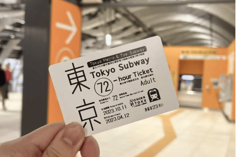 Tokyo: Tsukiji Fish Market Tour, TeamLab Planets & Subway 9:00 AM Tsukiji Tour & TeamLab Entry (12:30-16:00)