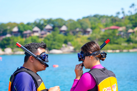 Koh Samui: Pig Island Tour by Speedboat with Snorkeling Private Tour or Cruise Ship Option