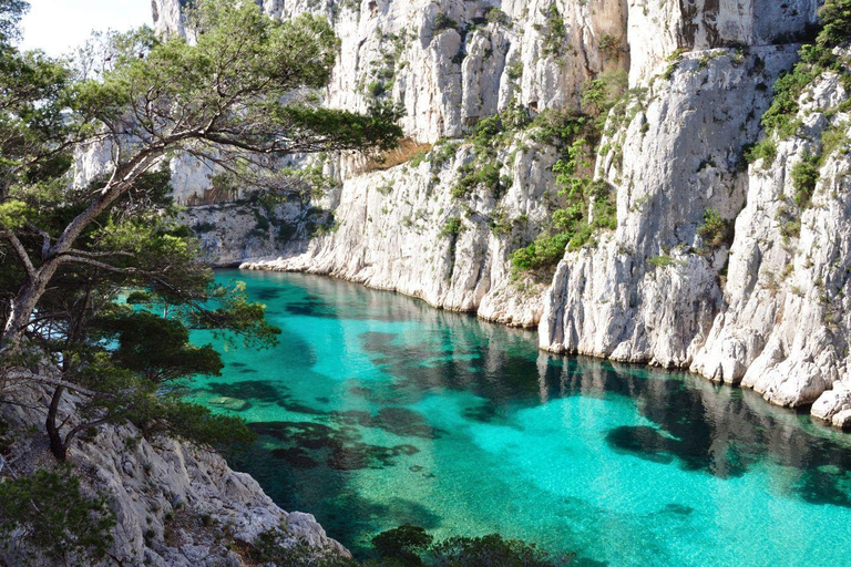 La Ciotat: Boat Tour in the Calanques with swimming