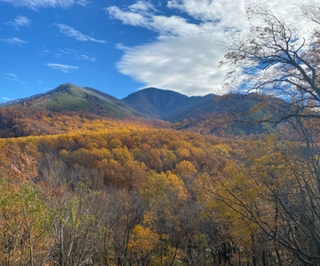 Gatlinburg: Great Smoky Mountains National Park Classic Tour