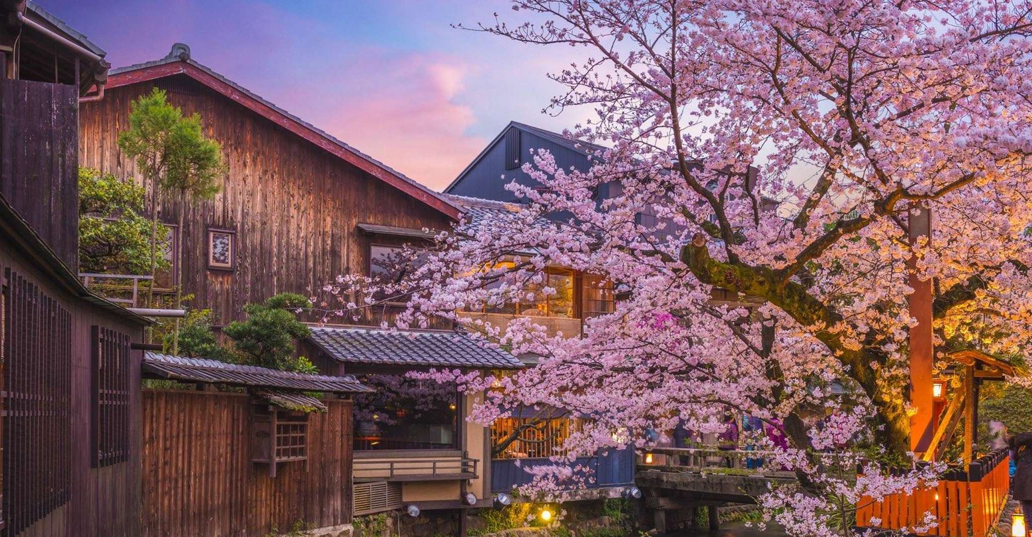 Kyoto Geisha Walking Tour: Gion District & Hidden Gems photo 7