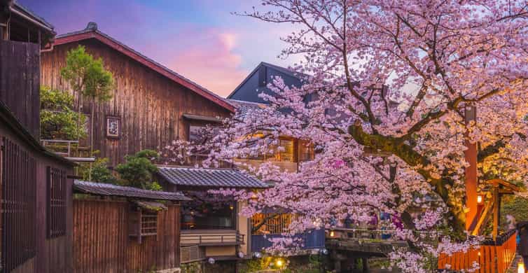 Kyoto Geisha Walking Tour: Gion District & Hidden Gems photo 7