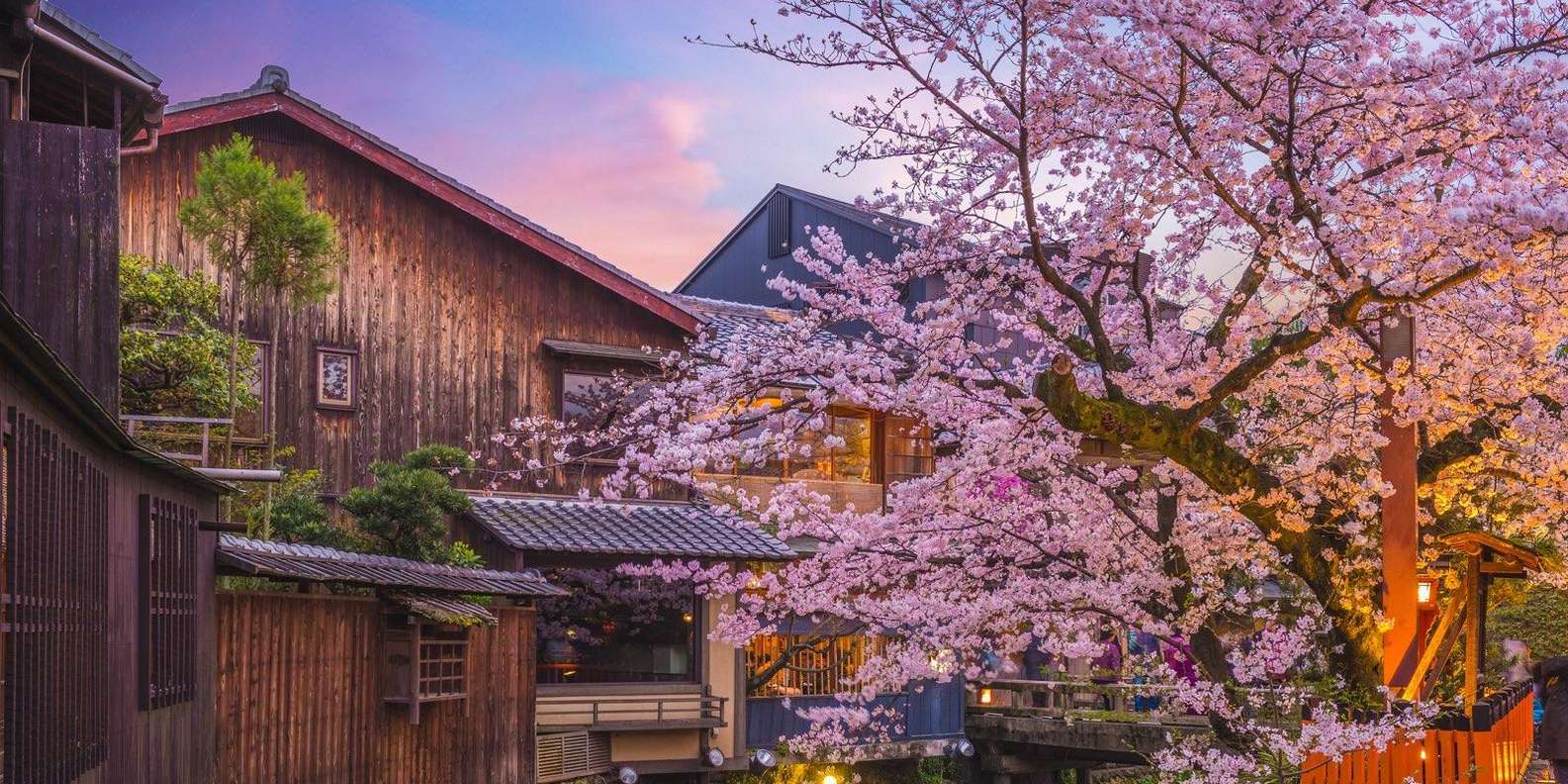 Kyoto experience — temples, geisha, bamboo grove — image 6