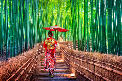 Quioto: Viagem de 1 dia a Arashiyama e Miyama com cozinha de tofu