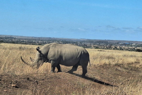 Parc national de Nairobi, Centre des girafes, Orpanage et Bomas.