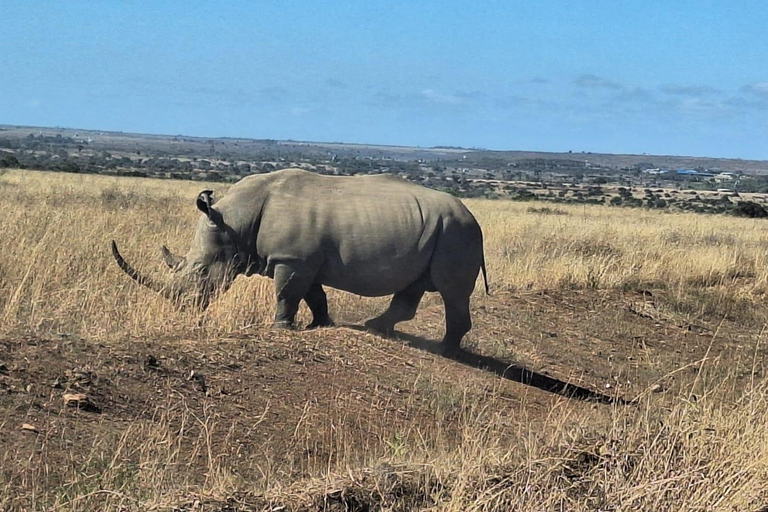 Nairobi National Park, Giraffe Center, Orpanage & Bomas Trip