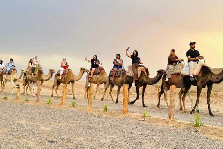 Marrakech: Agafay Desert Quad & Camel Rides with Dinner Show