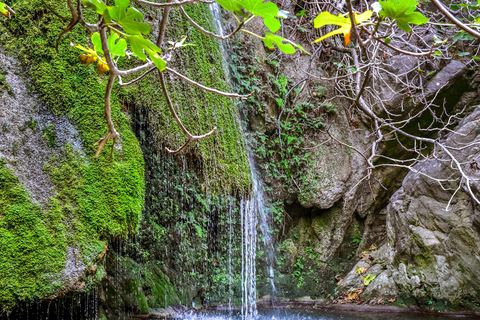 Richtis-Schlucht - Wanderabenteuer