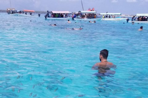Zanzibar: mergulho com snorkel e passeio com golfinhos em Mnemba