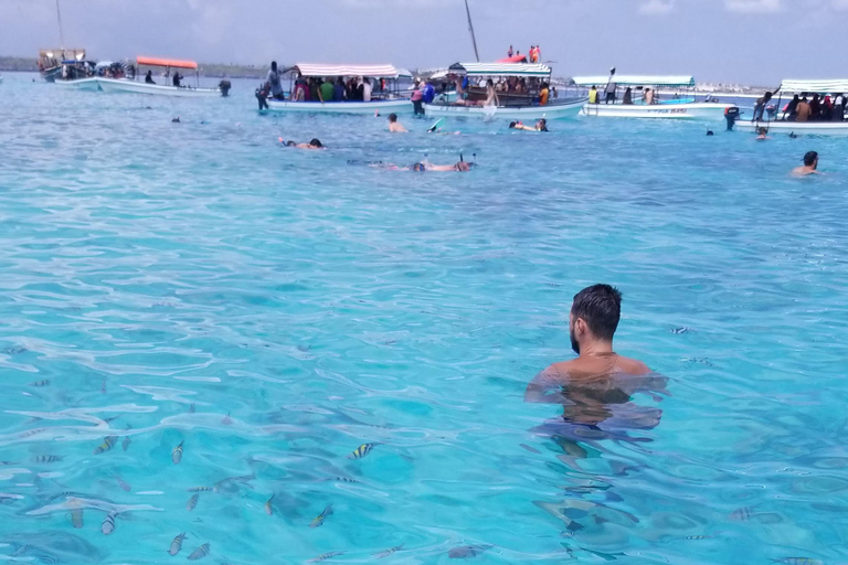 Zanzibar: mergulho com snorkel e passeio com golfinhos em Mnemba