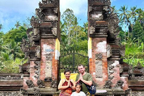 Ubud Waterfall, Temple, Rice Terrace & Art with Transfers