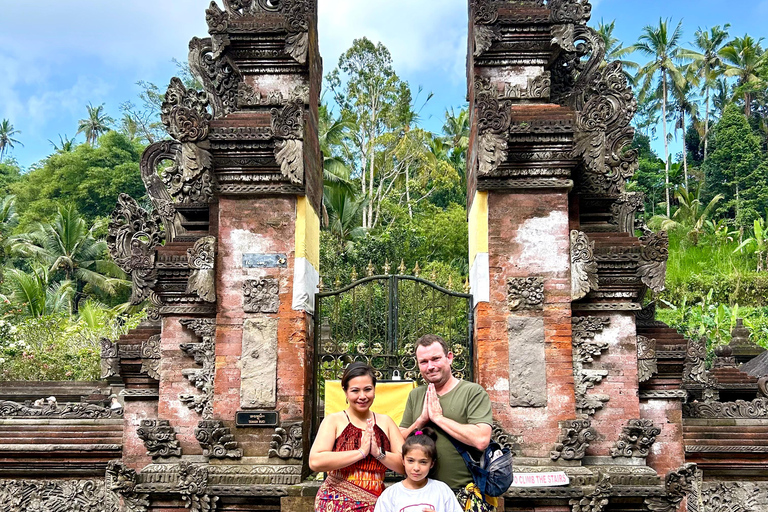 Ubud Waterfall, Temple, Rice Terrace & Art with Transfers