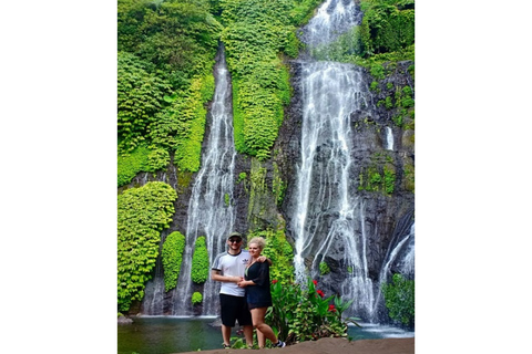 North Bali: Walking on the expanse of jati luwih rice fields