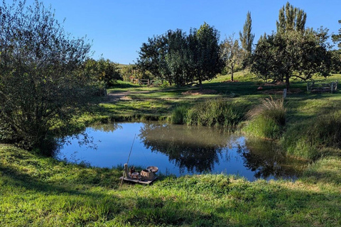 Auckland: Hobbiton& Waitomo private Tour with Hotel Pickup