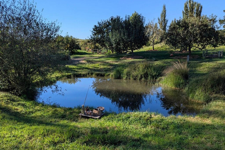 Auckland: Hobbiton& Waitomo private Tour with Hotel Pickup