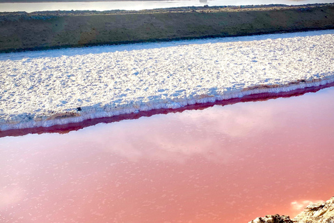Walvis Bay: Seal Kayaking Adventure with Brunch