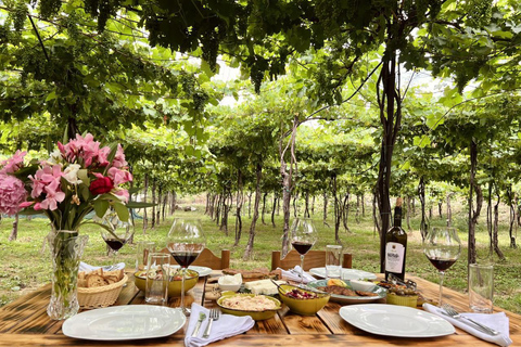 From Tirana: Berat UNESCO Heritage with Wine Tasting