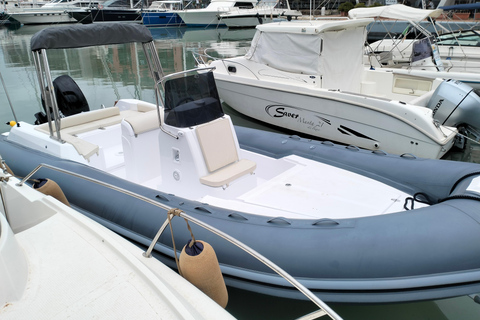 Baignade avec les cétacés Visite privée en bateau Genova Portofino
