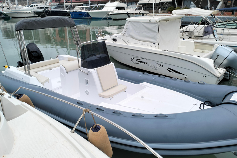 Baignade avec les cétacés Visite privée en bateau Genova Portofino