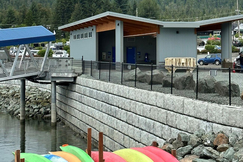 Juneau: Whale Watching Cruise with Bus Transfer