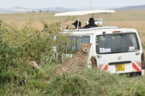 3-dniowe safari Masai Mara z balonem na gorące powietrze $ szampanMasai Mara; Safari balonem na ogrzane powietrze i śniadanie z szampanem