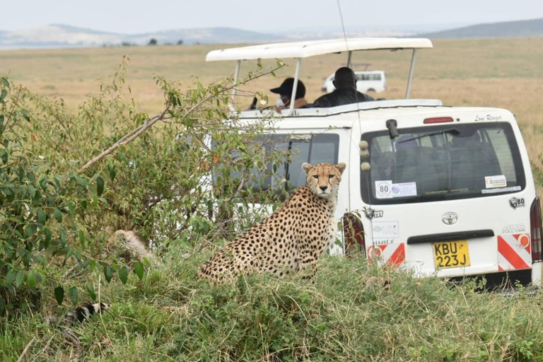 3-dniowe safari Masai Mara z balonem na gorące powietrze $ szampanMasai Mara; Safari balonem na ogrzane powietrze i śniadanie z szampanem