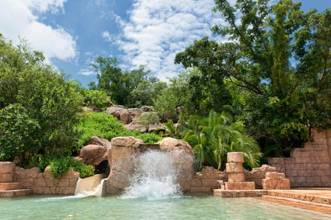 Johannesburg: Sun City Water Park & Chameleon Village Trip