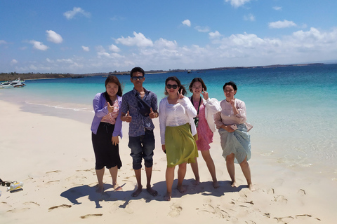 Lombok : Isola di sabbia, gili petelu, gili gambir e spiaggia rosa