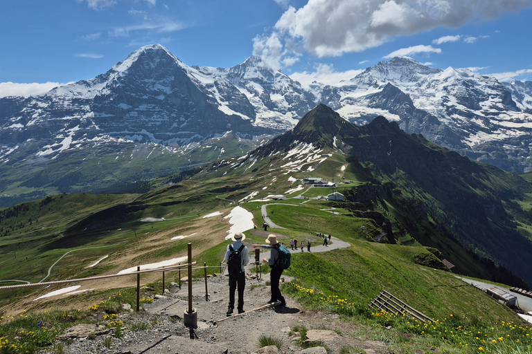 Männlichen : dégustation de fromages et de chocolats au sommet de la montagneMännlichen : Dégustation de fromages et de chocolats au sommet de la montagne