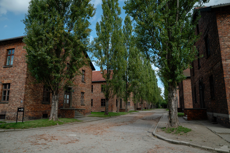 Krakow: Auschwitz-Birkenau Tour with Licensed Guide & Pickup Guided tour with hotel pickup option