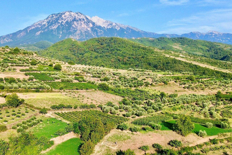 From Durrës: Wine Tasting at Alpeta Winery in Berat