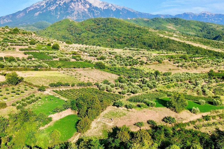 From Durrës: Wine Tasting at Alpeta Winery in Berat