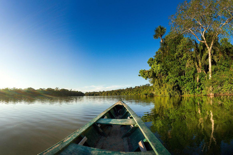 Puerto Maldonado: 4-Day Amazon Rainforest Adventure