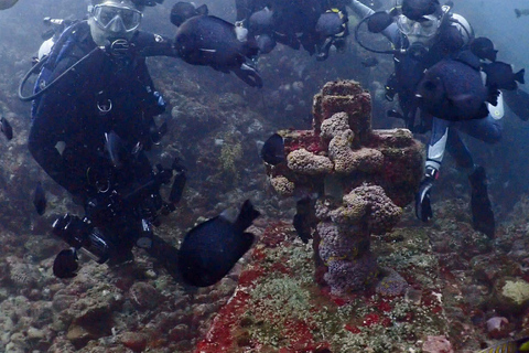 From Manila: Beginner's Scuba Diving Experience