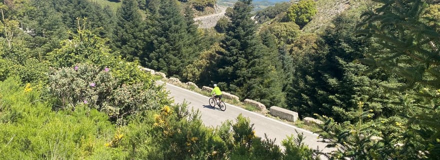 Ronda : Col de Las Palomas - Circuit cycliste accompagné - Facile